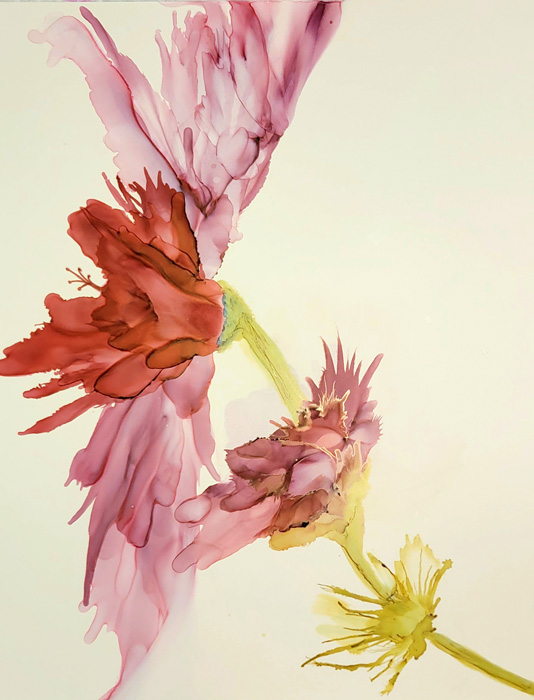 Beth Rodney