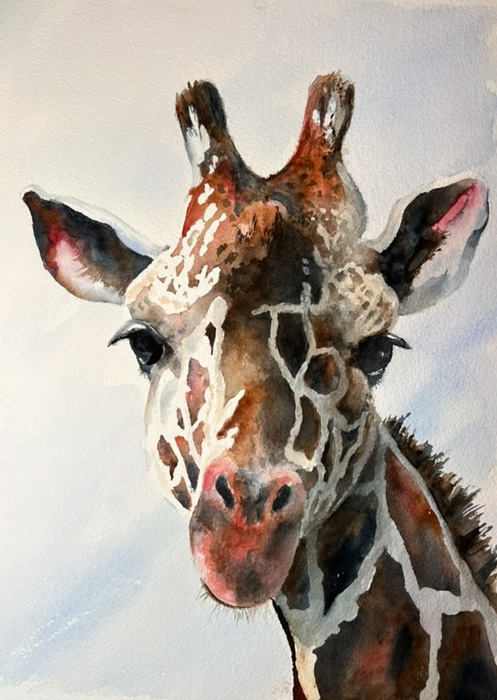 Wendy Sallak
