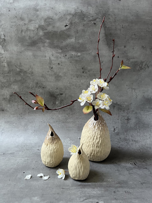 Lin Zhao Jun