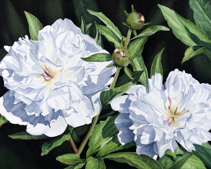 Max Davies Art