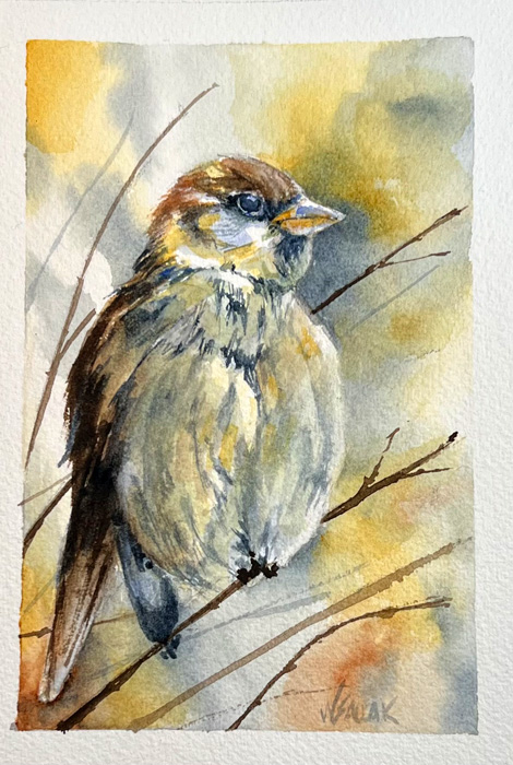 Wendy Sallak