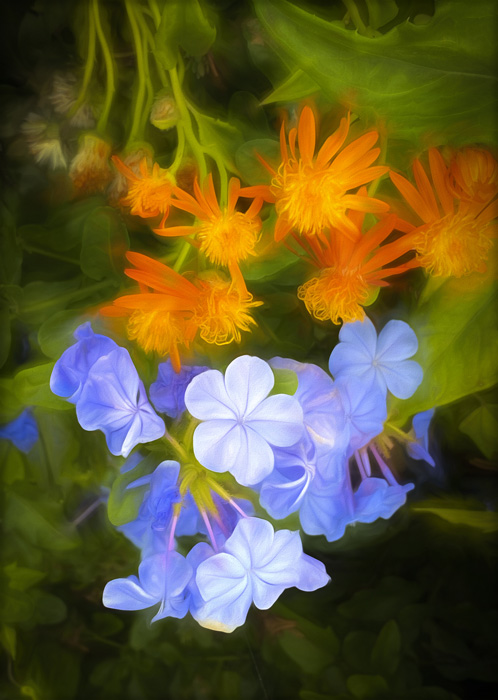 Kathleen T. Carr