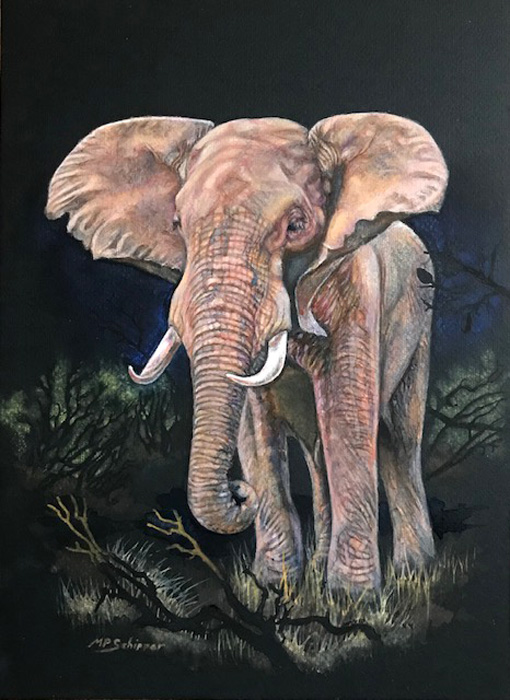 Marianne P Schipper