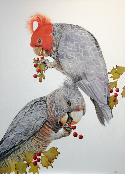 12th Place – OverallPaula Wiegmink