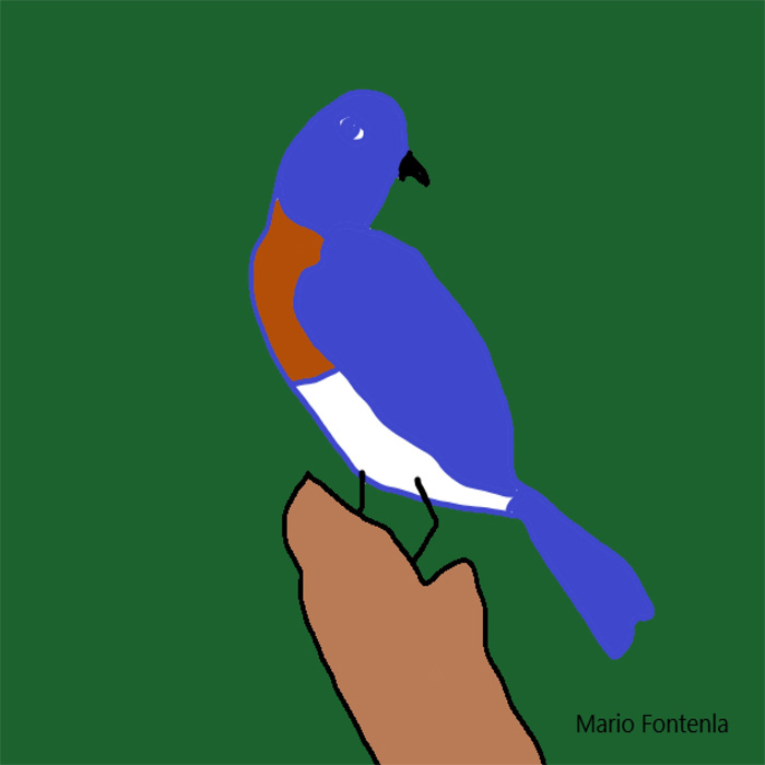 Mario Fontenla