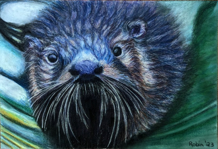 Robin Rudolph