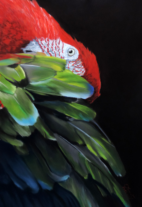 Pastelart Timea G.