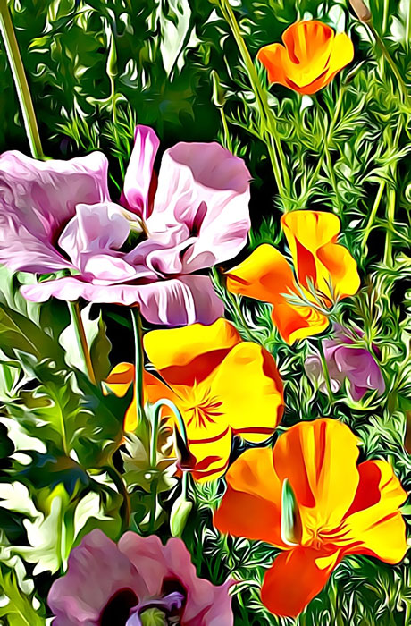Lillian Ruedrich