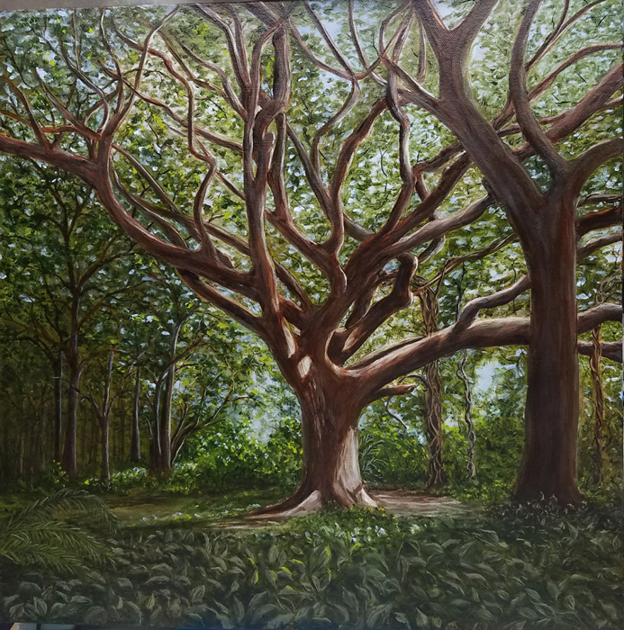 Pam Blevens