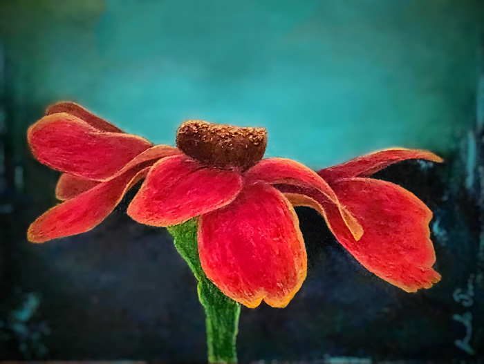 Rovaida J. Saleh