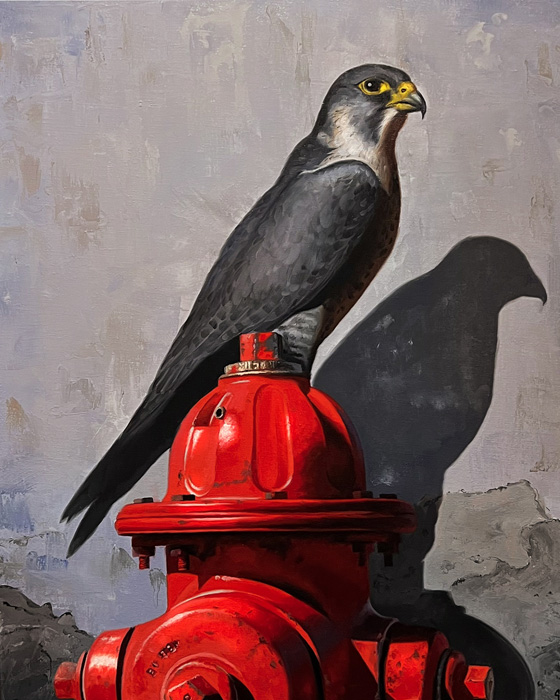 1st Place – Overall - Scott D Ferguson
