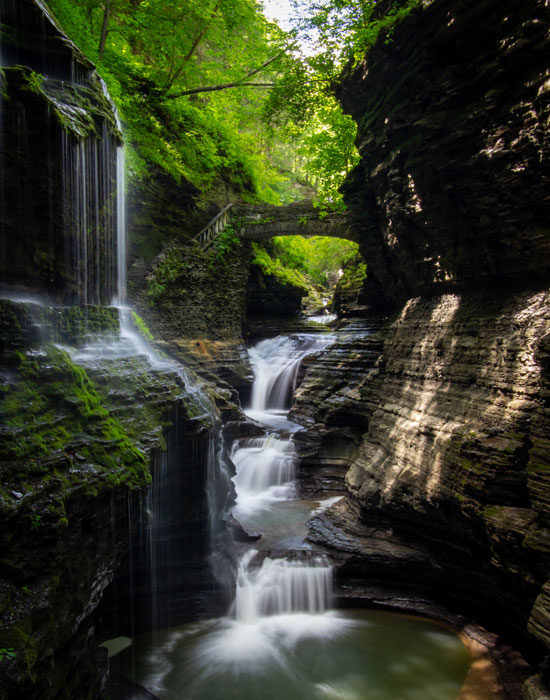 1st Place – OverallTodd Dieringer