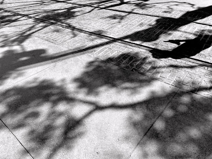 Karen Safer