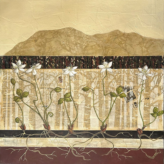 Deborah Jellison