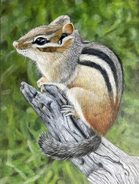 Carina Imbrogno