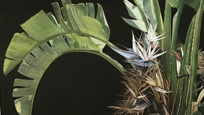 2nd Place – Diane Harm