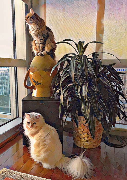 2nd Place – Overall - Pamela Loudon