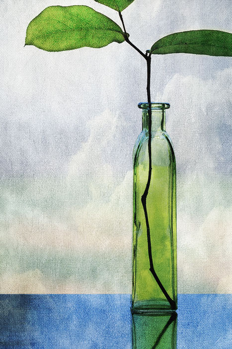 3rd Place – Peggy Jones Pfister