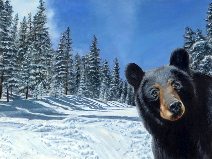 3rd Place – Nancy Andresen
