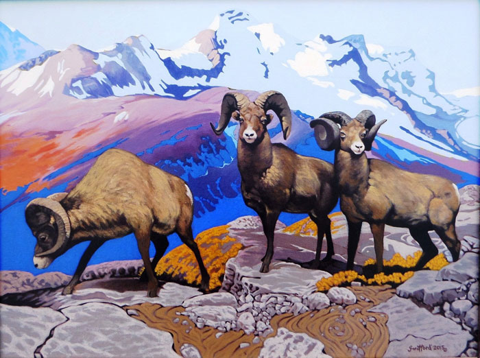 3rd Place – OverallJim Bob Swafford