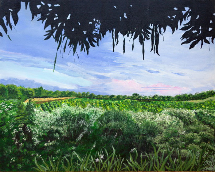 Pat Kelley