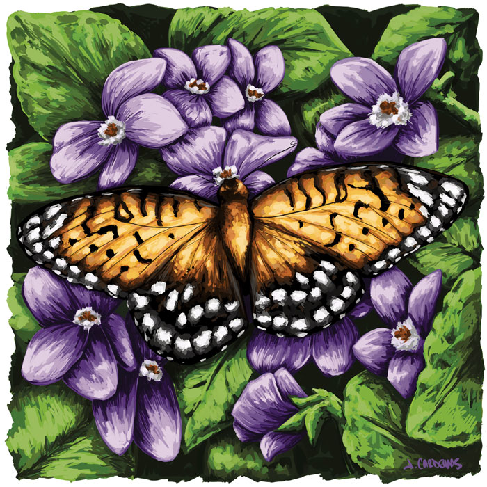 Jose Cardenas