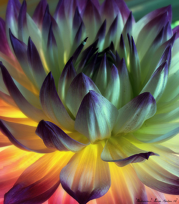Rochon Fine Art