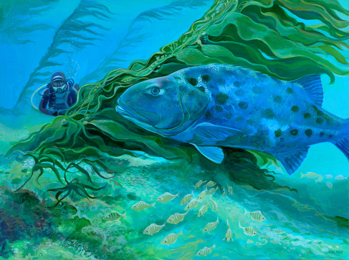 Stephen Holman