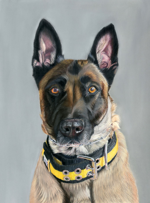 Caitlyn Pelletier Art