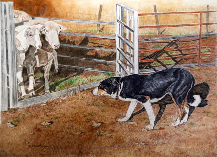 5th Place – Kathy Christian