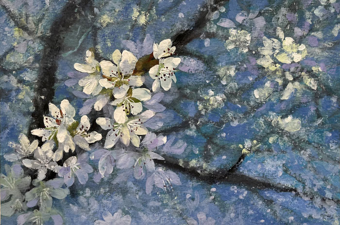 Lin Zhao Jun
