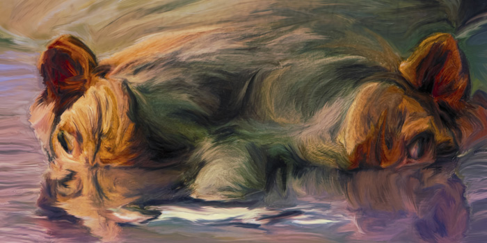 Ilona Abou-Zolof