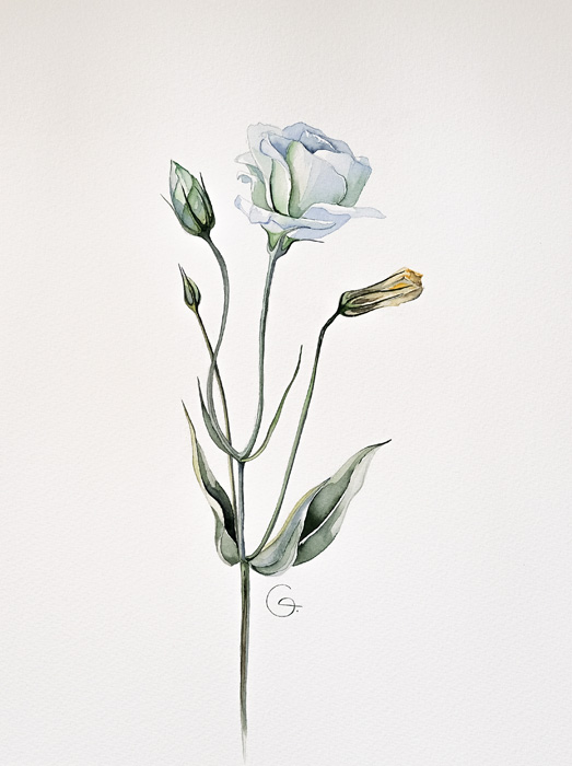Botanial Art Showroom