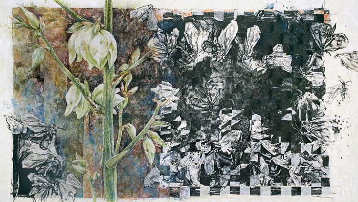 Susan Fecho