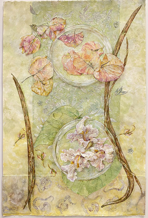 Susan Fecho