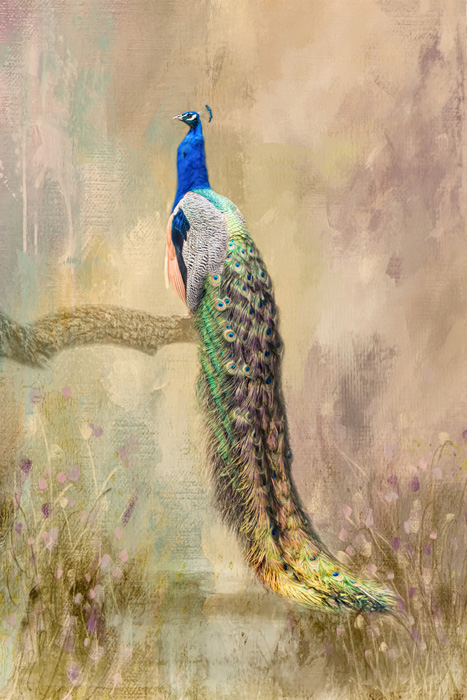 7th Place – Marilyn Wilson
