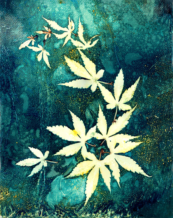Viv Buckley