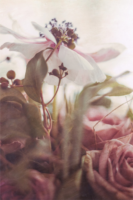 Yuchan Wu