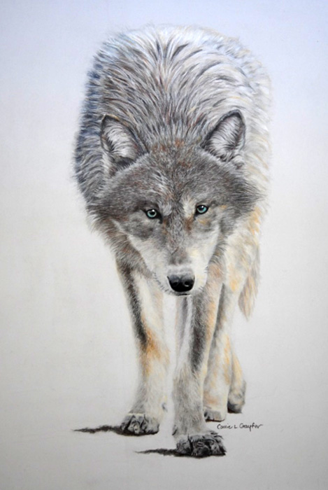 Carrie Gayfer
