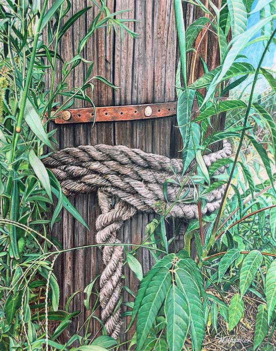 Nancy Honaker