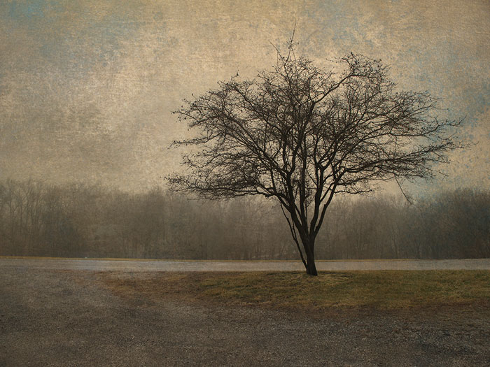8th Place – OverallBeth Goyer