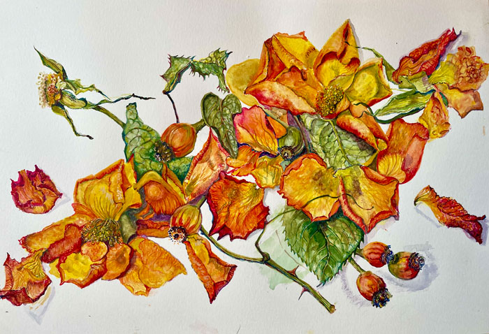 Yvette Rawson