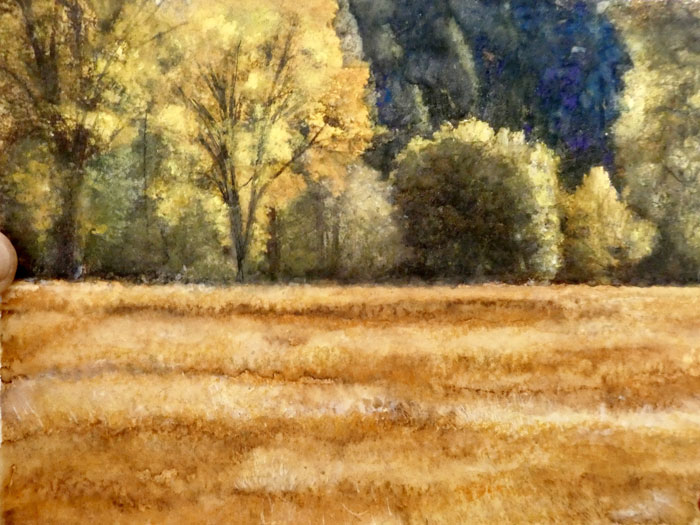 Patricia A Moretti