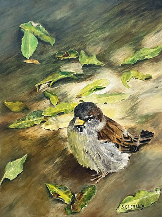 Sharon Hernly Artist