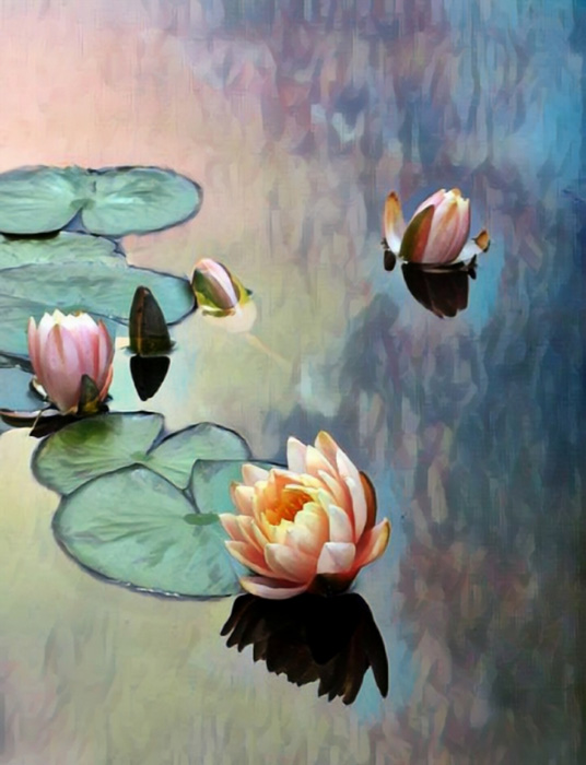 Kelley Jakelis – “A Sudden Reflection” - kelley.jakelis@yahoo.com