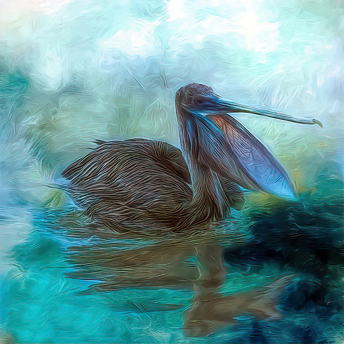Artsy Brown Pelican