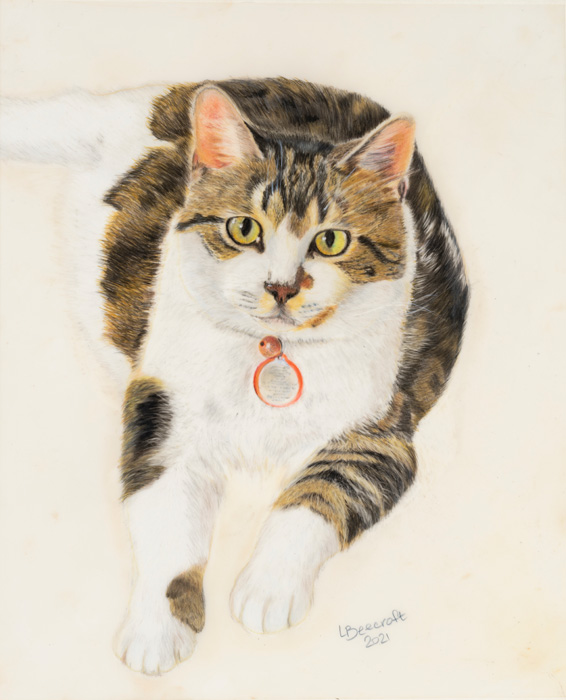 Lorna Beecroft – “Miss Molly” - www.lornabeecroftartist.com