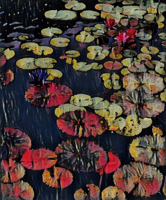 Kelley Jakelis – “Changing of the seasons” - kelley.jakelis@yahoo.com