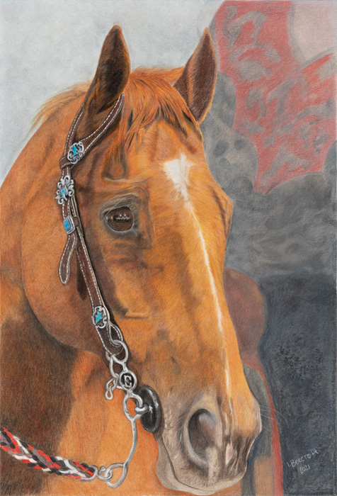Lorna Beecroft – “Cheque's” - www.lornabeecroftartist.com