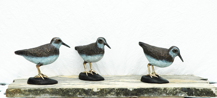 “Three Least Sandpipers”